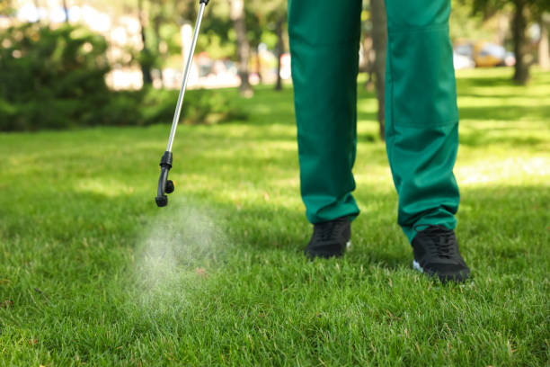 Professional Pest Control in Woodland Heights, PA